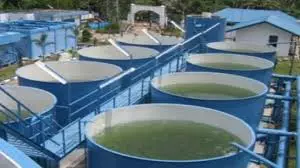 proses reverse osmosis air laut
